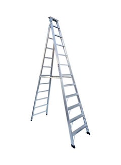 Buy Dual Purpose Ladder Silver One Size in UAE