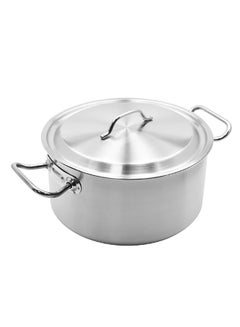 Buy Cooking Pot With Lid Silver 20cm in UAE