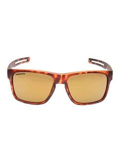 Buy Men's Bikers Square Sunglasses - Lens Size: 56 mm in UAE