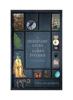 Buy The Imaginary Lives Of James Poneke paperback english - 2020 in UAE