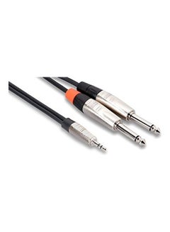 Buy HMP-006Y REAN 3.5 mm TRS to Dual 1/4 inch TS Pro Stereo Breakout Cable Black in UAE