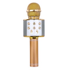 Buy Professional BT Wireless Karaoke Recorder Handheld Microphone Gold in UAE