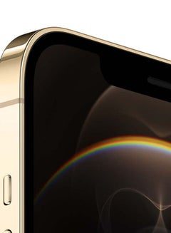 Shop Apple Iphone 12 Pro Max With Facetime 256gb Gold 5g Middle East Version Online In Dubai Abu Dhabi And All Uae