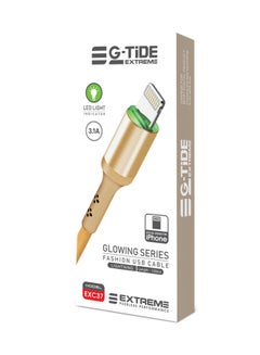 Buy Glowing Series EXC37 Lightning Charging Cable With LED Gold in Saudi Arabia