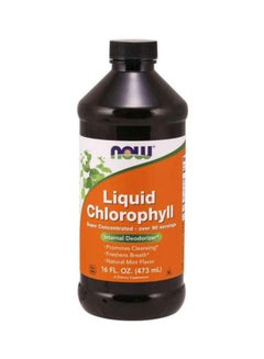 Buy Internal Deodorizer Liquid Chlorophyll - Mint 473 ML in UAE