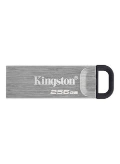 اشتري فلاش درايف داتا ترافيلر بمنفذ USB من كينجنستون 256.0 GB في الامارات