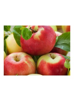 Buy Apples Printed Self-Adhesive Wall Sticker Multicolour 140x105cm in Egypt