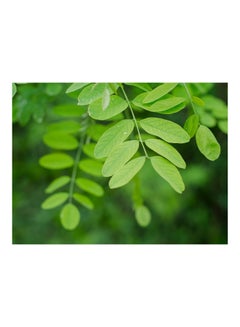 Buy Branch Printed Self-Adhesive Wall Sticker Green/Black 140x105cm in Egypt