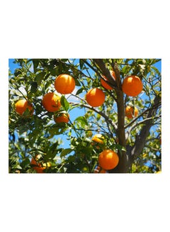 Buy Oranges Themed Wall Sticker Multicolour 140x105cm in Egypt