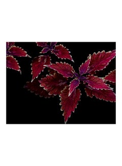 اشتري ملصق جداري  ذاتي اللصق من الفينيل بطبعة نباتات أسود/أحمر 160 x 120سم في مصر