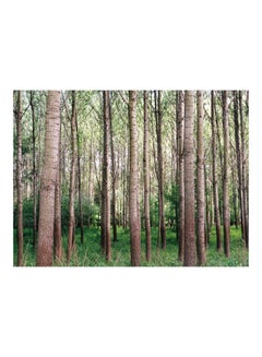 Buy Forest Printed Self-Adhesive Wall Sticker Multicolour 160x120cm in Egypt