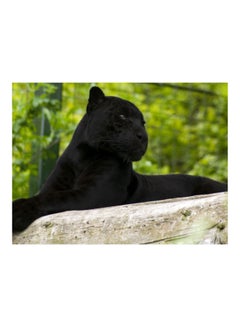 Buy Panther Themed Vinyl Self Adhesive Wall Sticker Black/Green 160x120cm in Egypt