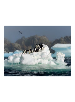 Buy Penguins Themed Vinyl Self Adhesive Wall Sticker Multicolour 160x120cm in Egypt