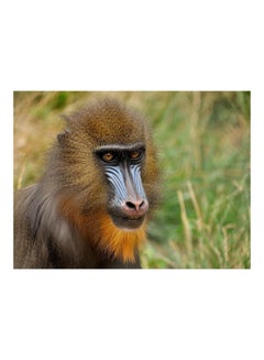 Buy Mandrill Printed Self-Adhesive Wall Sticker Multicolour 160x120cm in Egypt