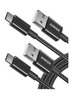 Buy 2-Piece USB C Cable Black/Silver in UAE