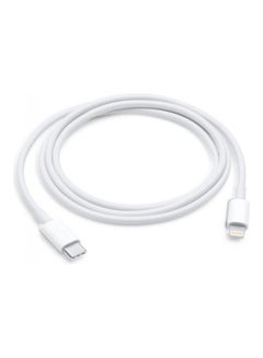 Buy USB-C To Lightning Cable white in UAE
