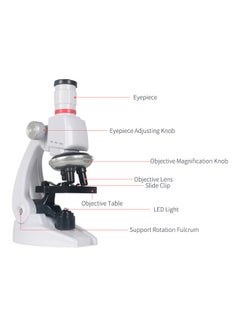 Buy Science Kits For Kids Beginner Microscope in UAE