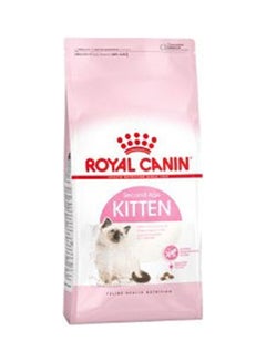 Buy Cat Kitten Multicolour 10kg in UAE