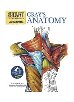 Buy Gray's Anatomy Paperback English by Freddy Stark - 2011 in UAE