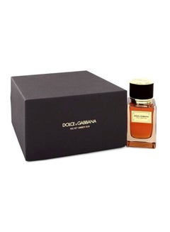 dolce and gabbana amber sun