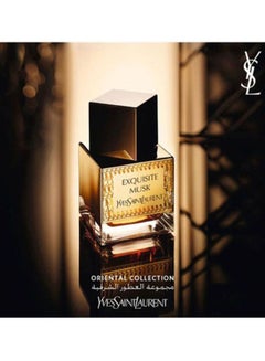 ysl musk