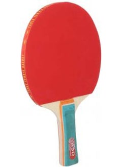Buy Table Tennis Racket And Case 19inch in UAE
