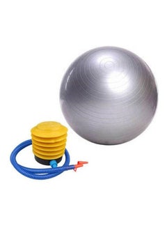 Buy Yoga Ball Gym Balance Stability Fitness Eercise With Air Pump Home Workout Equipment [Awd] 65cm in Egypt