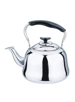 Buy Stainless Steel Whistling Kettle Silver 5Liters in Saudi Arabia