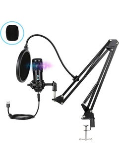 Buy Professional Studio Broadcasting Recording Condenser Microphone Set ANY0055 Black in UAE