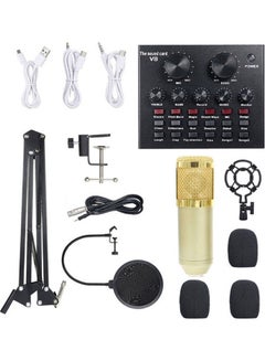 Buy 13-Piece Multi-Functional Live Sound Card Broadcasting Recording Condenser Microphone Kit ANY0064 Multicolour in UAE