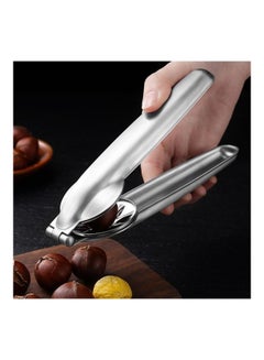 Buy Stainless Steel Chestnut Opener Silver in UAE