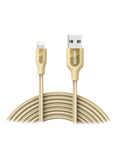 Buy Powerline Plus USB Cable For iPhone/iPad Gold in Saudi Arabia