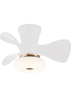 Buy AC220V Ceiling Fan Lighting With Remote Control White in Saudi Arabia