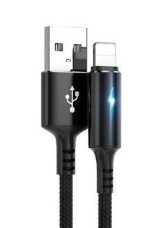 اشتري كابل شحن USB بمنفذ لايتننج أسود في السعودية