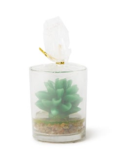 اشتري Cactus Jar Wrapped Gift Scented Candle أخضر 7.5x6سم في الامارات