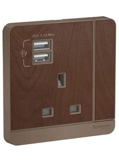 Buy Avatar On Switched Socket With 2 USB Charger Brown in UAE