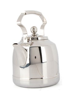 Buy Stainless Steel Teapot Silver in Saudi Arabia