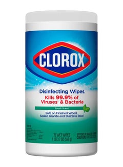 Buy Disinfecting And Multi-Surface Bleach Free Cleaning Wipes, 75 Wet in UAE