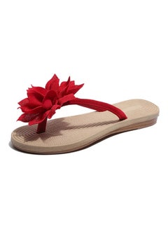 Buy Women Fashion Summer Non Slip Flower Flip Flops Flat Sandals Red/Beige in Saudi Arabia