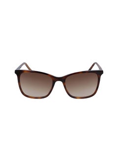 Buy Women's Full Rim ZYL Square  Sunglasses DK500S-240-5418 in UAE
