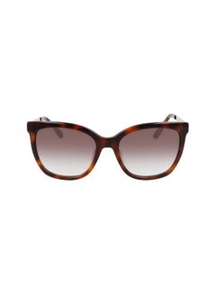 Buy Women's Full Rim ZYL Square  Sunglasses CK21703S-240-5518 in UAE