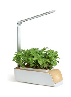 Buy Gardening Plant Pods With LED Grow Light White/Beige in UAE