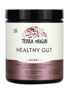 Buy Healthy Gut Dietary Supplement - Berry in UAE