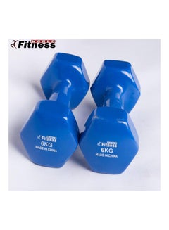 Buy 2-Piece Strength Dumbbells 12kg in Saudi Arabia