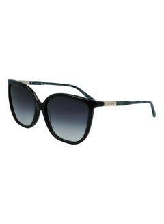 Buy Women's Full Rim ZYL Butterfly Sunglasses  L963S-001-5916 in Saudi Arabia
