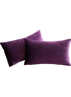 Buy 2-Piece Velvet Decorative Filled Cushion Purple in Saudi Arabia