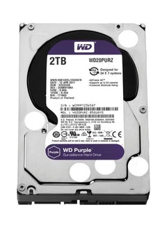 Buy 3.5-Inch SATA Surveillance Hard Disk Drive 2.0 TB in UAE