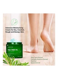 اشتري Athletes Foot Cream with Tea Tree Oil, Aloe & Spearmint Green 2X2.2X1.9inch في الامارات