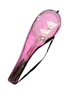 Buy Outdoor Badminton Combination Set 8.99 x 3.99 x 65cm in UAE