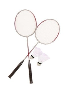 Buy Alminium Badminton Set 8.99 x 3.99 x 65cm in UAE